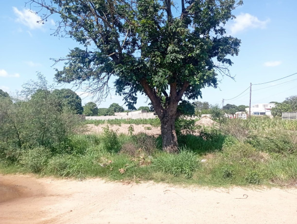 propriedade-com-875m2-em-tsalala-matola-big-1