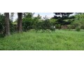 vende-se-uma-propriedade-no-belo-horizonte-small-4