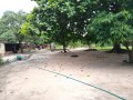 vende-se-uma-propriedade-no-belo-horizonte-small-3