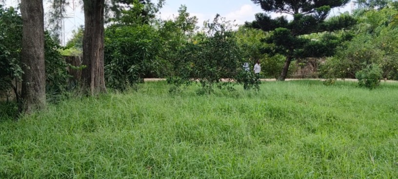 vende-se-uma-propriedade-no-belo-horizonte-big-4