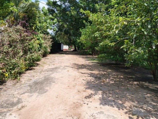 vende-se-uma-propriedade-no-belo-horizonte-big-1