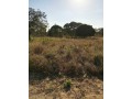 vende-se-terreno-de-30x40-na-katembe-small-1