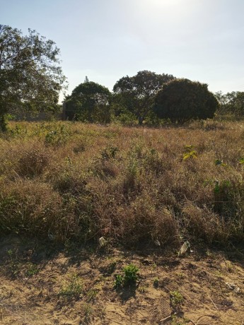 vende-se-terreno-de-30x40-na-katembe-big-1
