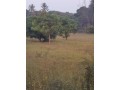 vende-se-um-espaco-de-7-hectares-na-berma-da-estrada-ao-lado-do-complexo-louanine-na-estrada-da-linha-pra-quem-vai-a-albasine-via-romao-small-1