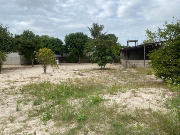 trespassa-se-arrenda-se-espaco-em-marracuene-big-4