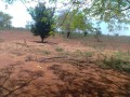 trespassa-se-272ha-em-chigubutana-small-2