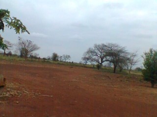 trespassa-se-272ha-em-chigubutana