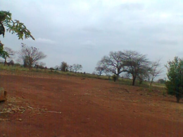 trespassa-se-272ha-em-chigubutana-big-0