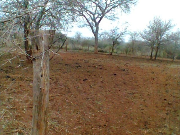 trespassa-se-272ha-em-chigubutana-big-3