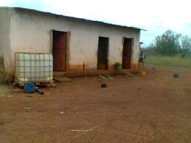 trespassa-se-272ha-em-chigubutana-big-1