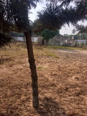 vende-se-uma-propriedade-na-berma-da-estrada-no-romao-big-1