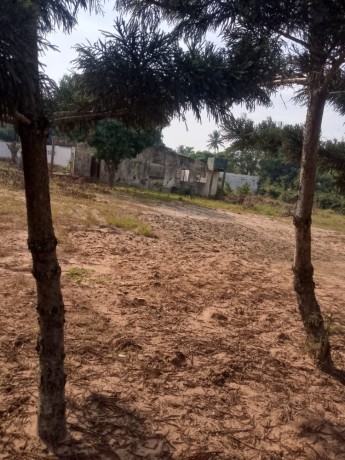 vende-se-uma-propriedade-na-berma-da-estrada-no-romao-big-3