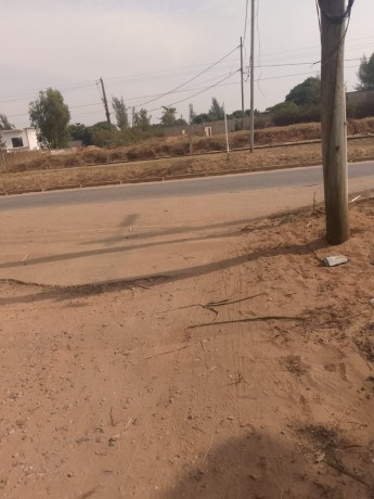 vende-se-uma-propriedade-na-berma-da-estrada-no-romao-big-0