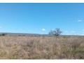 trespassa-se-terreno-boane-a-margem-do-rio-movene-small-2