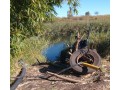 trespassa-se-terreno-boane-a-margem-do-rio-movene-small-1