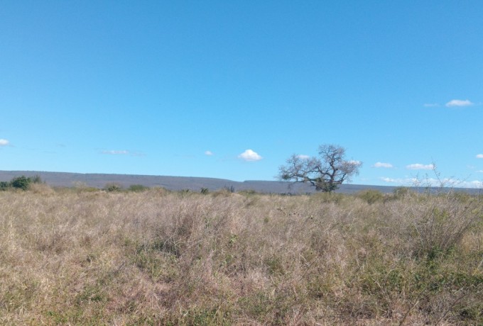 trespassa-se-terreno-boane-a-margem-do-rio-movene-big-2
