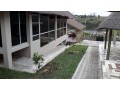 vende-se-magnifica-propriedade-t4-no-bilene-small-3