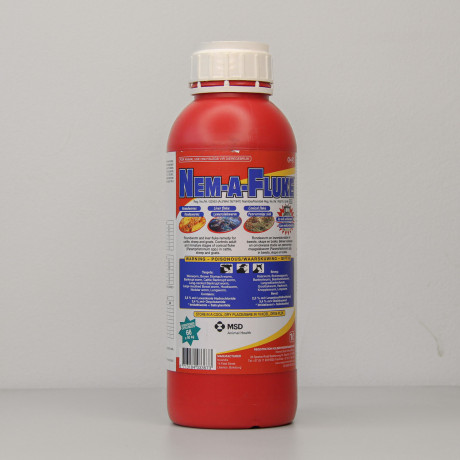 nem-a-fluke-1l-big-0