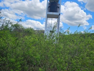 30-hectares-de-terra-pronta-para-plantio-com-agua-goba-proximo-a-bananalandia