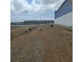 excelente-armazem-industrial-em-nacala-porto-small-4