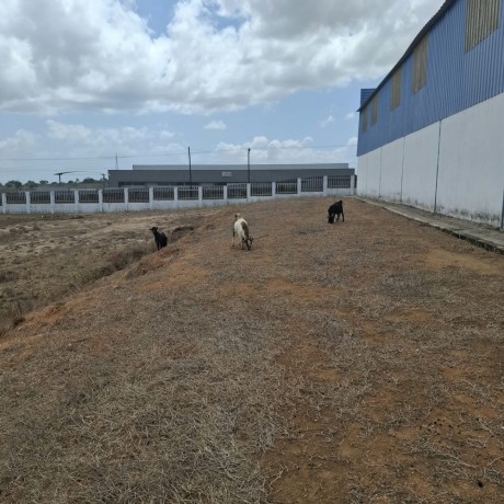 excelente-armazem-industrial-em-nacala-porto-big-4