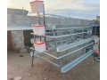 baterias-para-poedeiras-novas-vulgo-gaiolas-galvanizadas-small-1