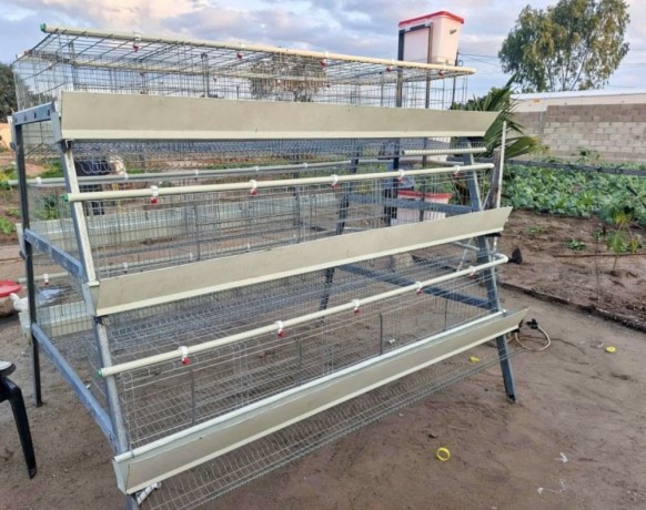 baterias-para-poedeiras-novas-vulgo-gaiolas-galvanizadas-big-0
