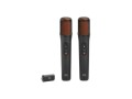 ai-karaoke-wireless-dual-mic-jbl-small-0