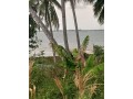 estou-a-ceder-um-terreno-situado-na-praia-small-0