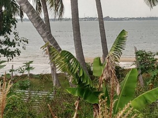 estou-a-ceder-um-terreno-situado-na-praia