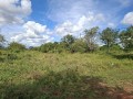 terreno-100m50m-a-venda-small-0