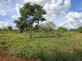 terreno-100m50m-a-venda-small-1