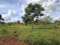 terreno-100m50m-a-venda-small-3