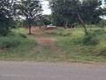 terreno-100m50m-a-venda-small-4