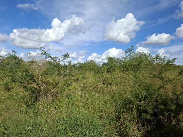 terreno-100m50m-a-venda-big-2