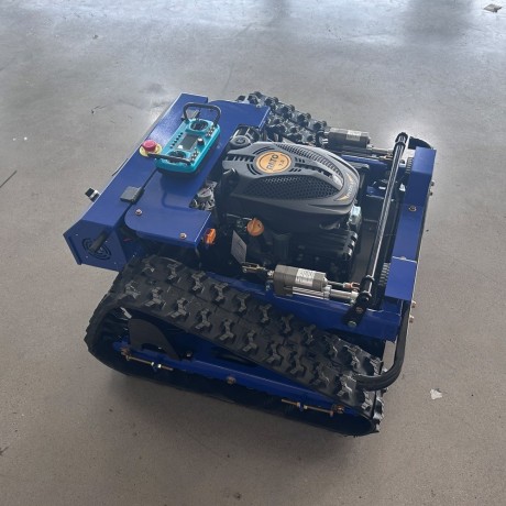 ql-500y-cortador-de-relva-por-controlo-remoto-big-1