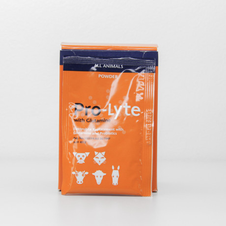 pro-lyte-with-glutamine-big-1