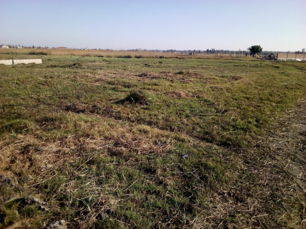 terreno-4001500-60-hectares-na-circular-muntanhana-big-1